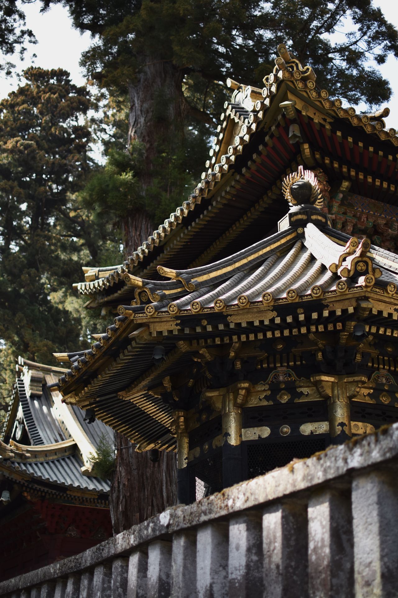 Nikko private day tour from Tokyo