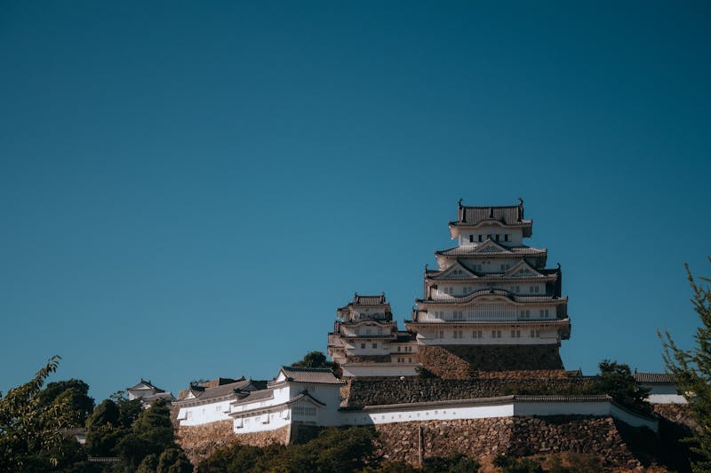 Himeji Castle private day tour