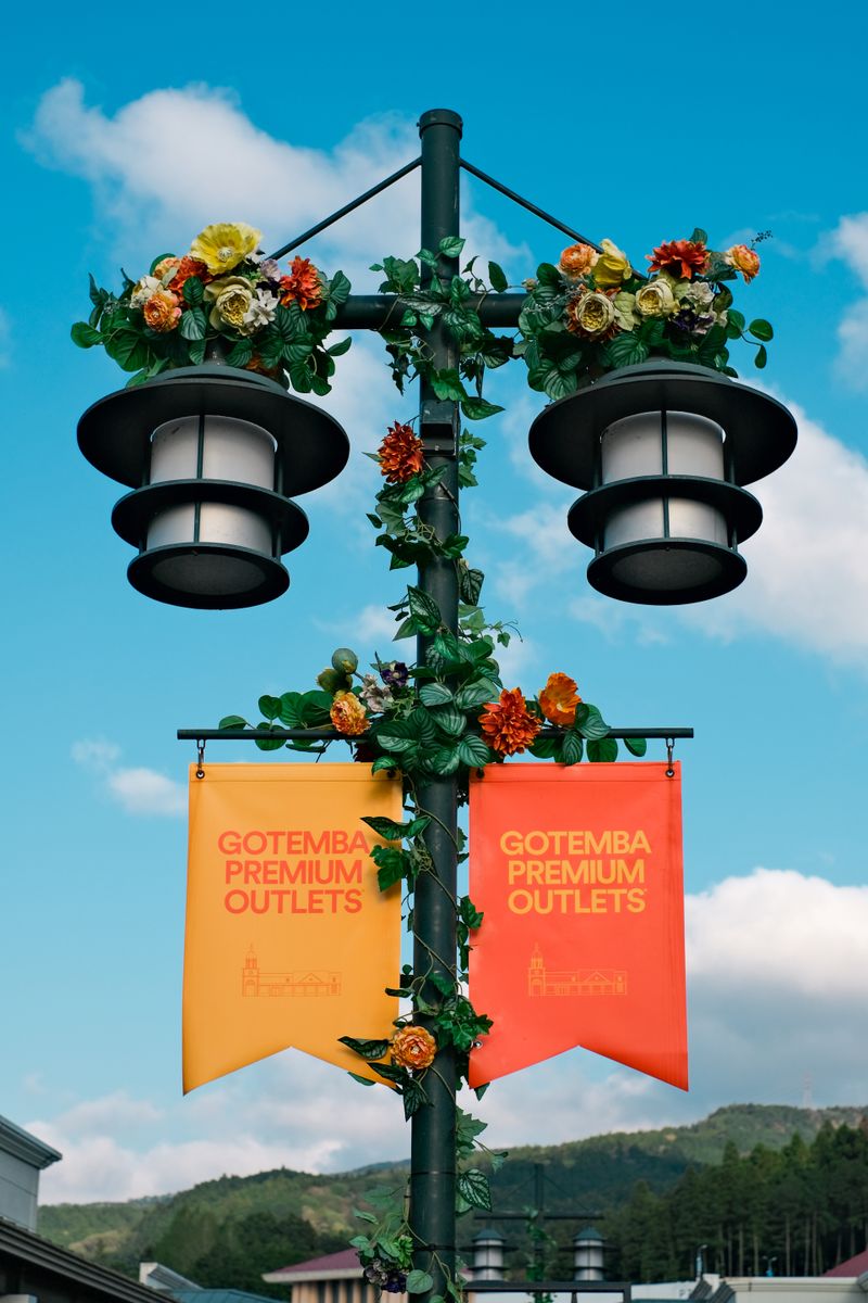 Gotemba Premium Outlets shopping tour from Tokyo