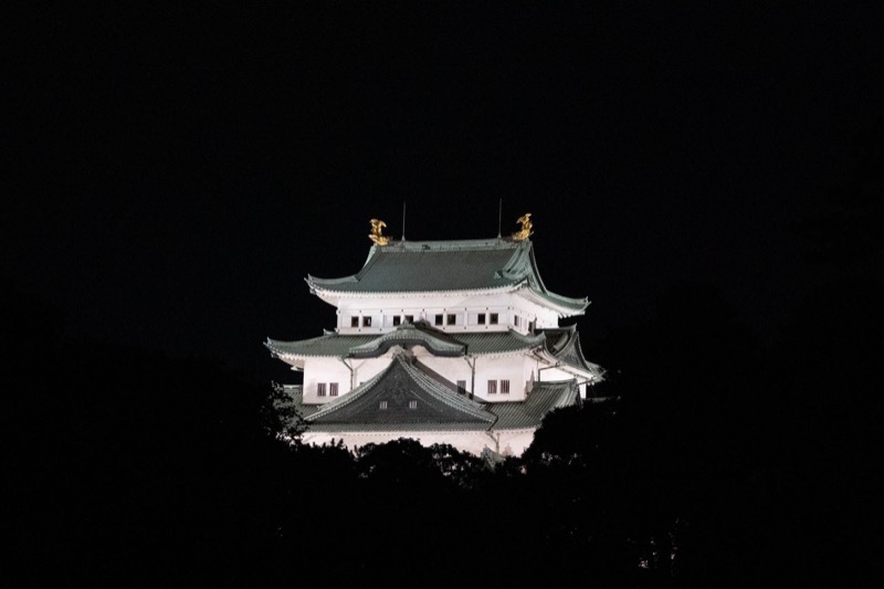 Nagoya Castle private day tour