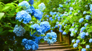 Blog 2 Untitled design 9