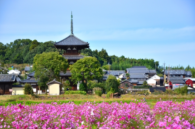 Nara Summer Tour – Sample Itinerary (10 hours) 6 22841714 s