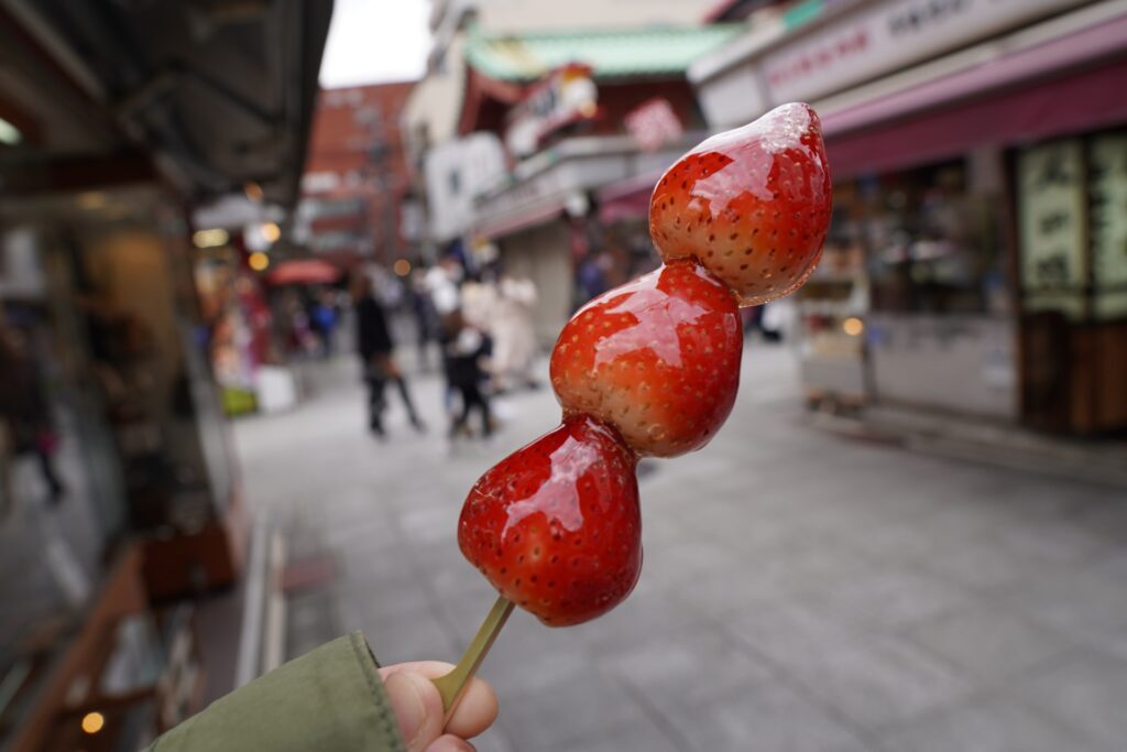10 Irresistible Japanese Street Foods Every First-Time Visitor Should Try 11 4243738 m