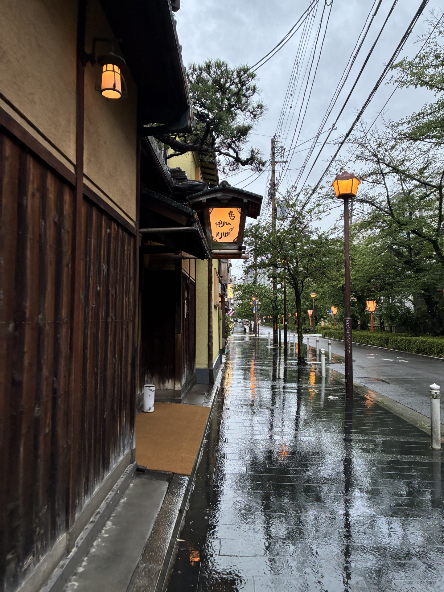 Kyoto Rainy Day Itinerary for June: The Best 12-Hour Private Tour to Stay Dry & Inspired 3 23359 1