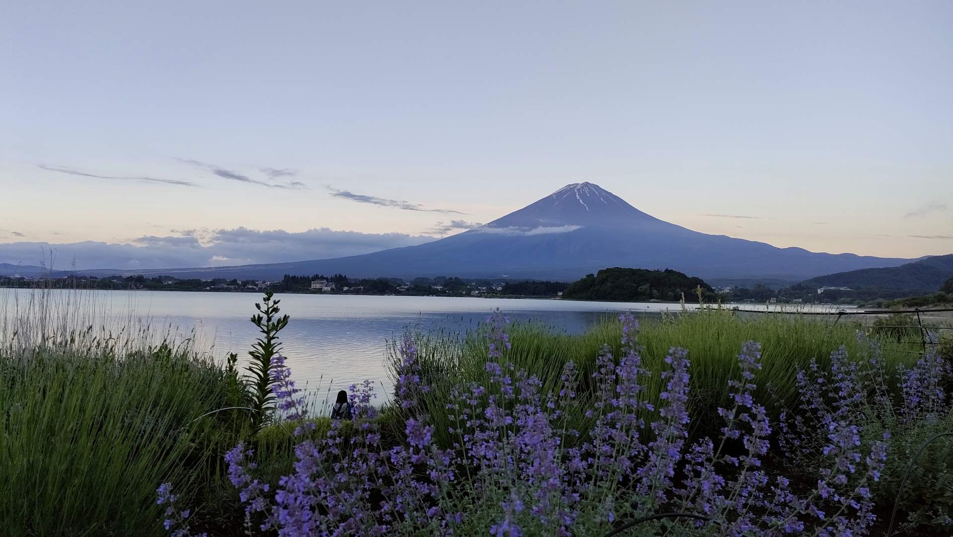 Mt. Fuji in June