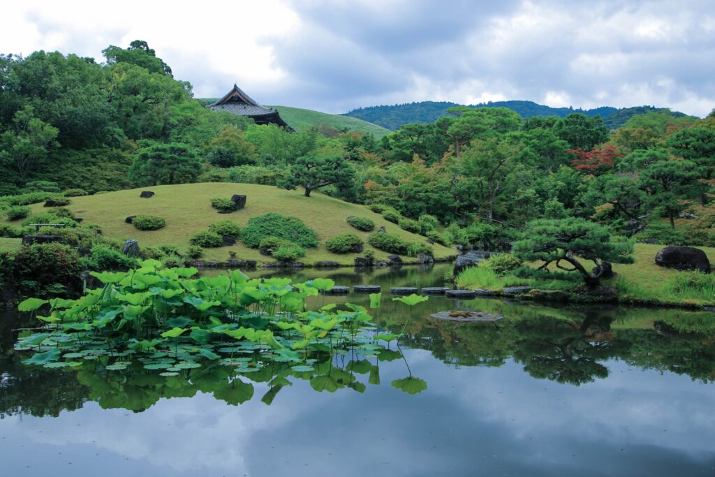 Nara Rainy Day Itinerary: A Peaceful 10-Hour Private Tour Full of History & Charm 6 27150359 m