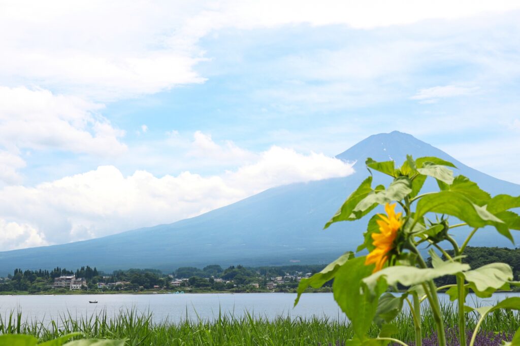 Mt. Fuji Summer Tour: 10-Hour Scenic Adventure for an Unforgettable Day 1 Mt. Fuji summer tour