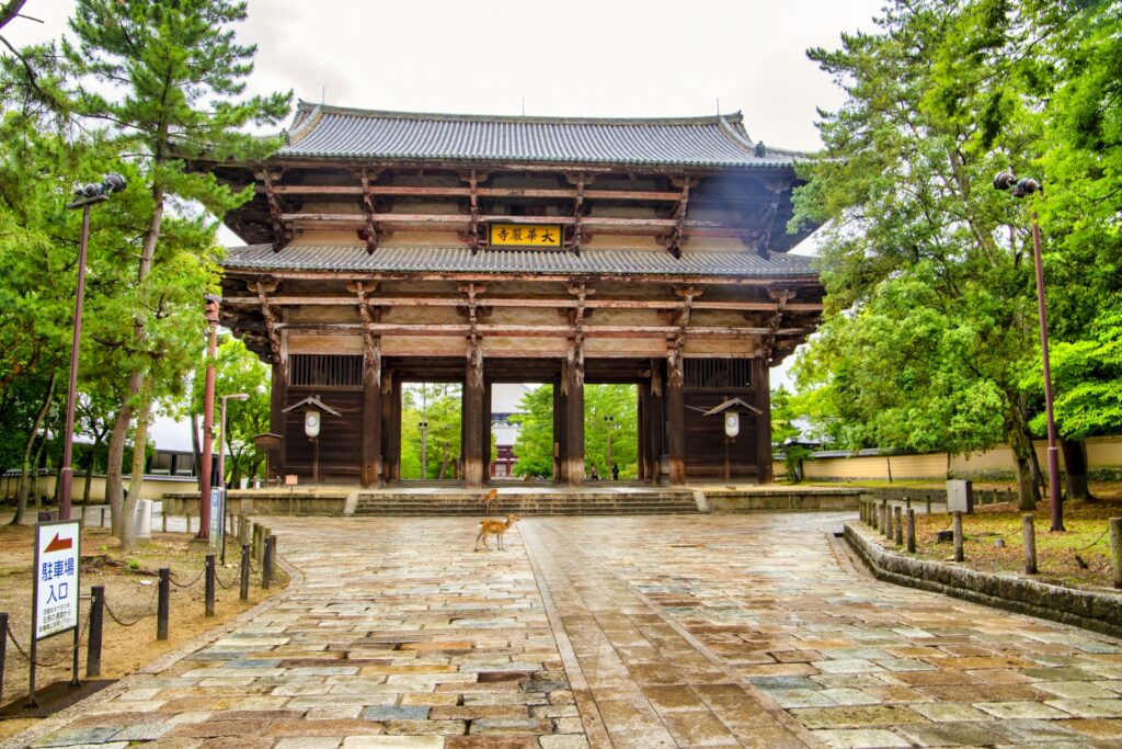 Nara Rainy Day Itinerary: A Peaceful 10-Hour Private Tour Full of History & Charm 1 Nara Rainy Day Itinerary