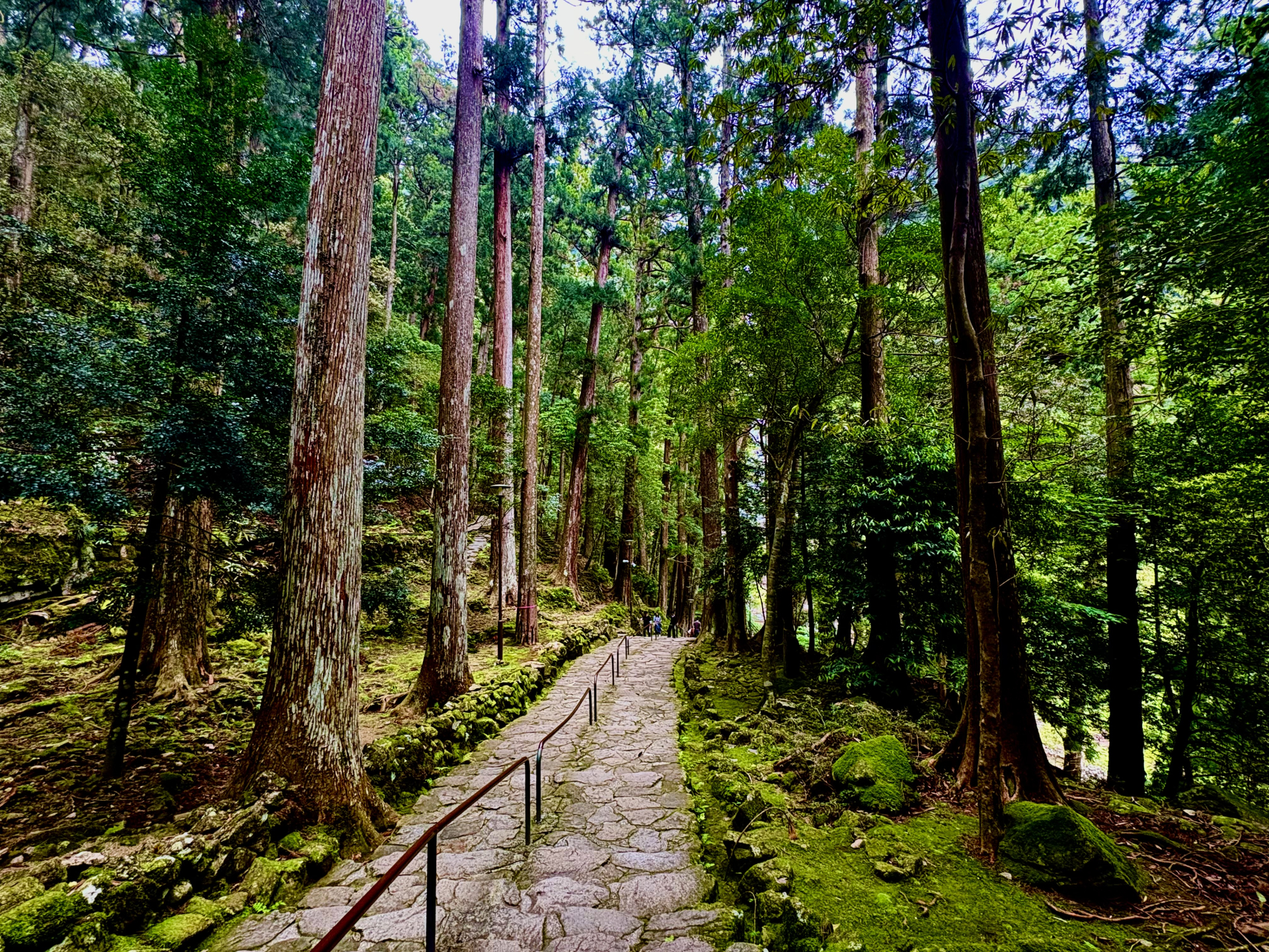 Unforgettable Journey to the Kumano Kodo: Private Transfers & Custom Tours with Hire Taxi Japan 2 23899 1