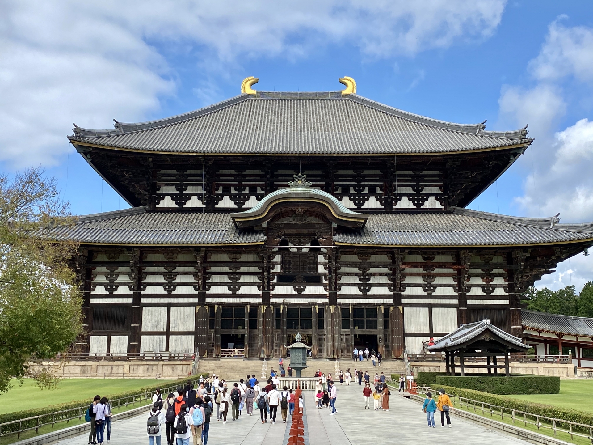 Nara Summer Tour Itinerary: Discover the Ultimate 10-Hour Escape with Temples, Deer & Scenic Strolls 2 4046276 m