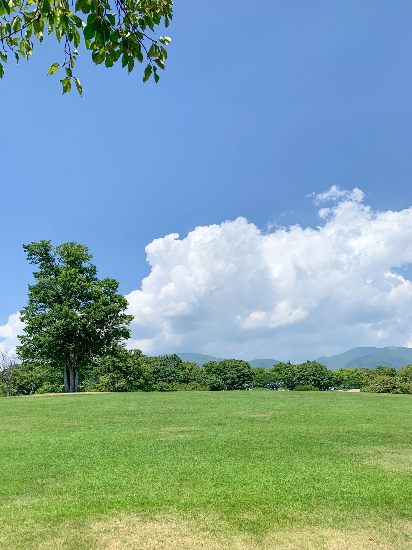 6 Cool Highland Escapes in Japan to Beat the Summer Heat 2 24509 1