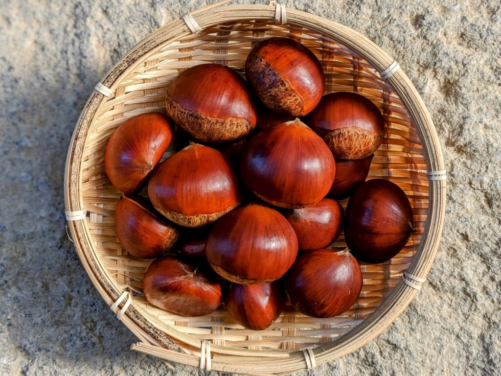 Delicious Autumn Food in Japan 2025: Seasonal Dishes, Sweets & Market Delights 4 24998319 m 3