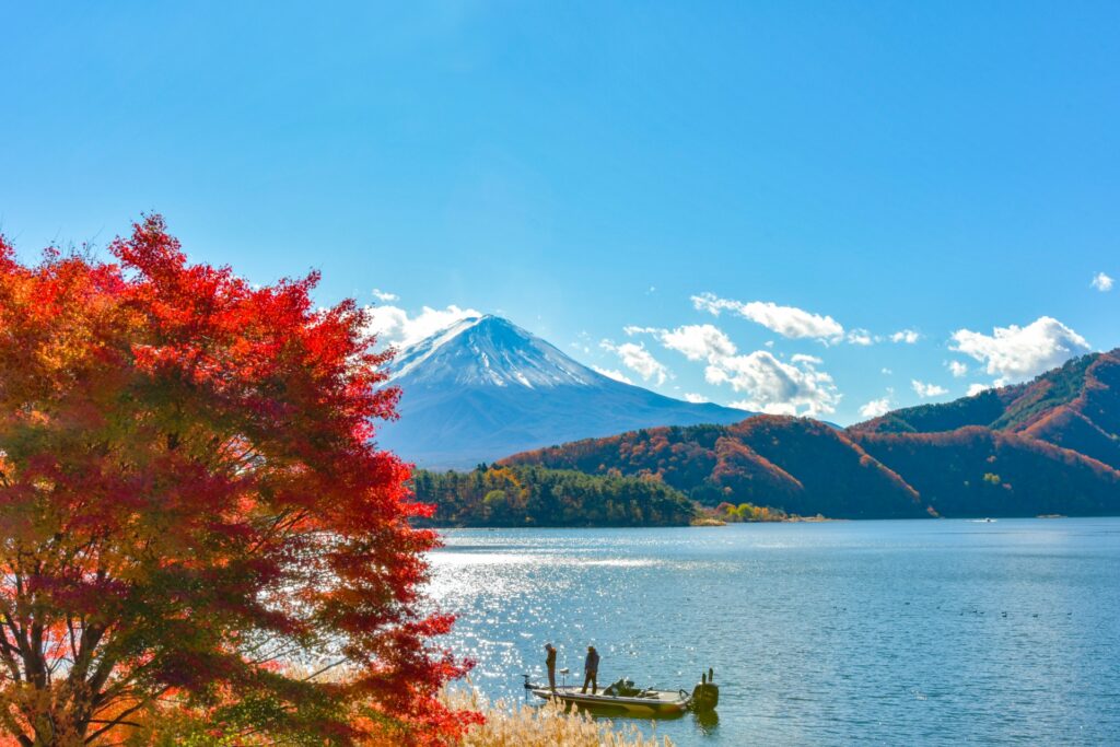 Mt. Fuji Autumn