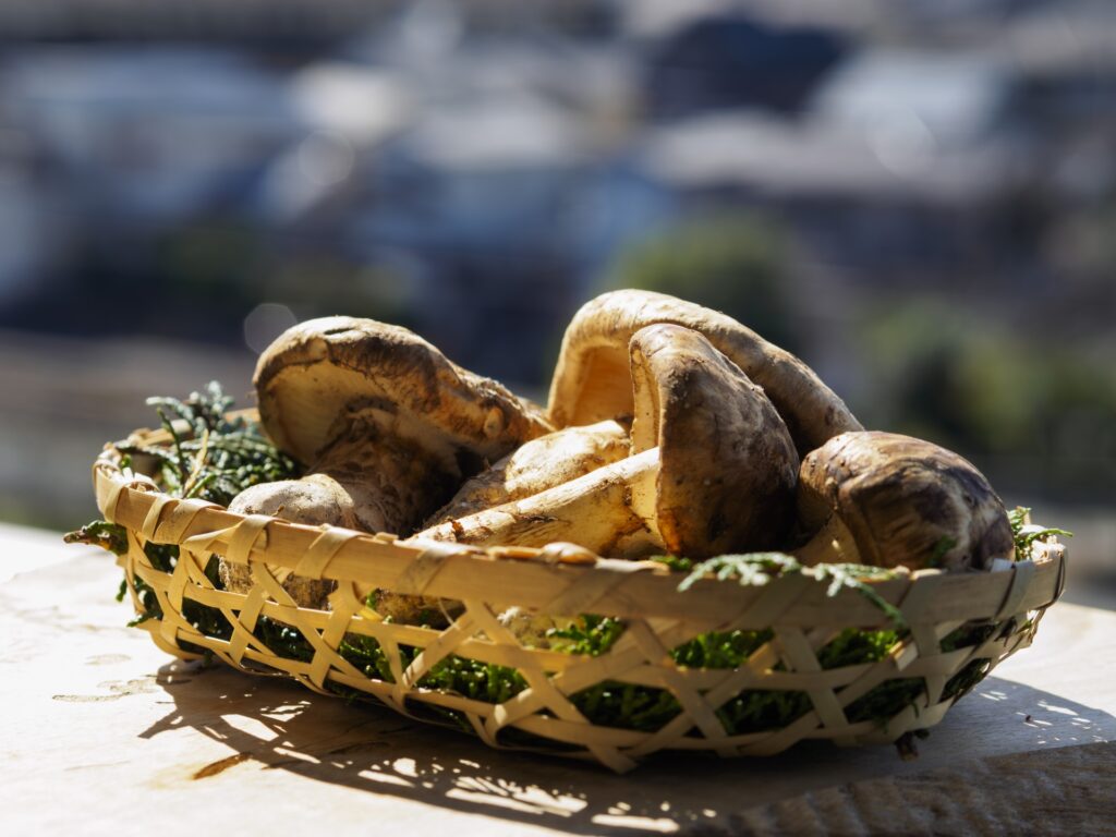 Delicious Autumn Food in Japan 2025: Seasonal Dishes, Sweets & Market Delights 2 28305934 m 1