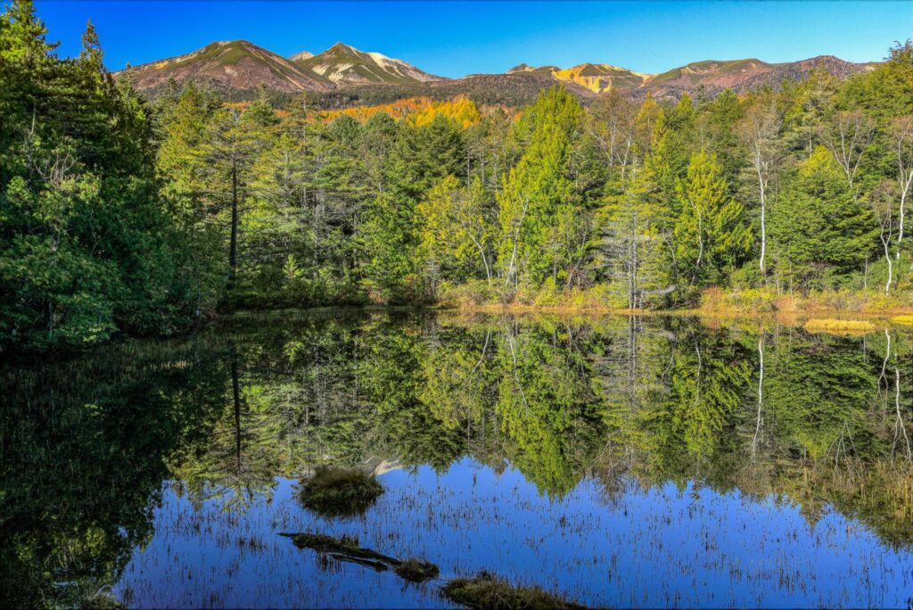 Japan in September 2025: Cool Weather, Fewer Crowds & Peaceful Travel 4 4009666 m
