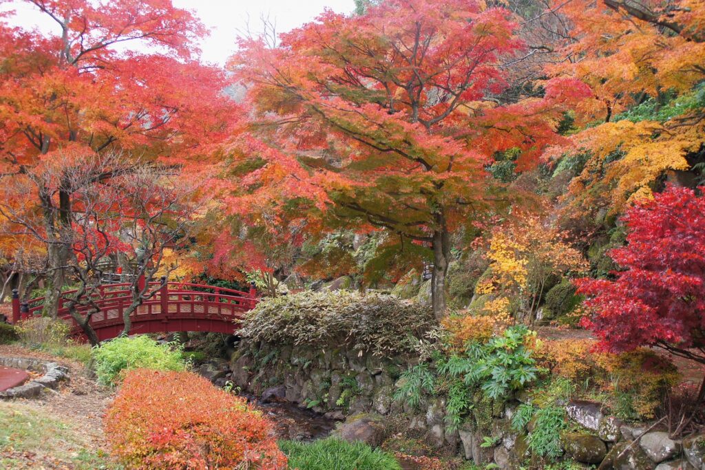 The Best Autumn Onsen Getaways in Japan 2025 – Hot Springs & Autumn Views 3 1874772 m
