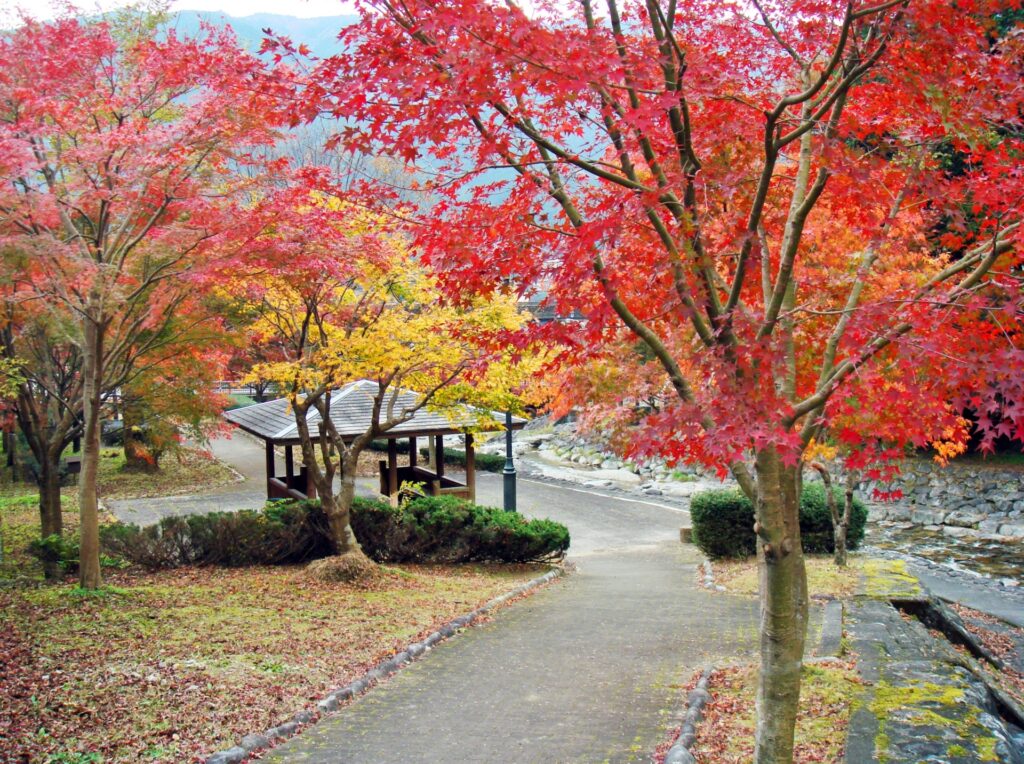 The Best Autumn Onsen Getaways in Japan 2025 – Hot Springs & Autumn Views 4 2022935 m