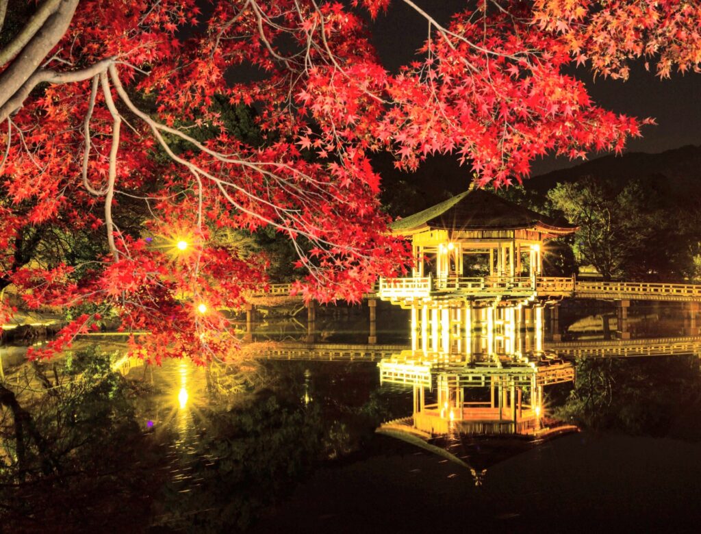 Autumn Lights in Japan 2025: Where to See the Best Fall Night Illuminations 8 2130099 m