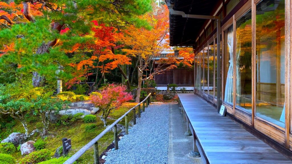 Magical Autumn Day Trips from Osaka & Kyoto: 5 Scenic Getaways for Fall Foliage Lovers 7 22689330 m 1