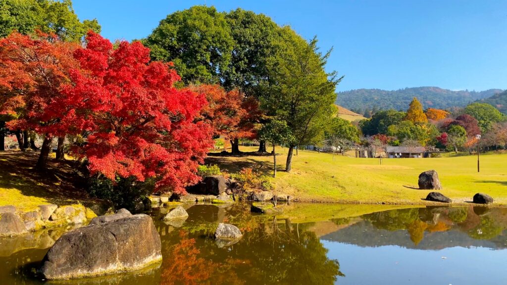 Experience Japan in November: 5 Breathtaking Autumn Scenery & Must-Visit Fall Destinations 3 22712110 m