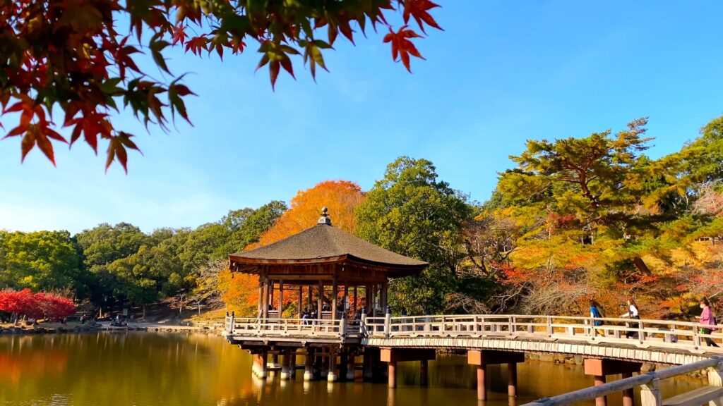 Magical Autumn Day Trips from Osaka & Kyoto: 5 Scenic Getaways for Fall Foliage Lovers 2 22746541 m 1