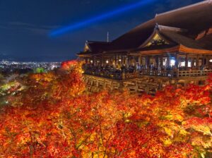 Autumn Lights in Japan