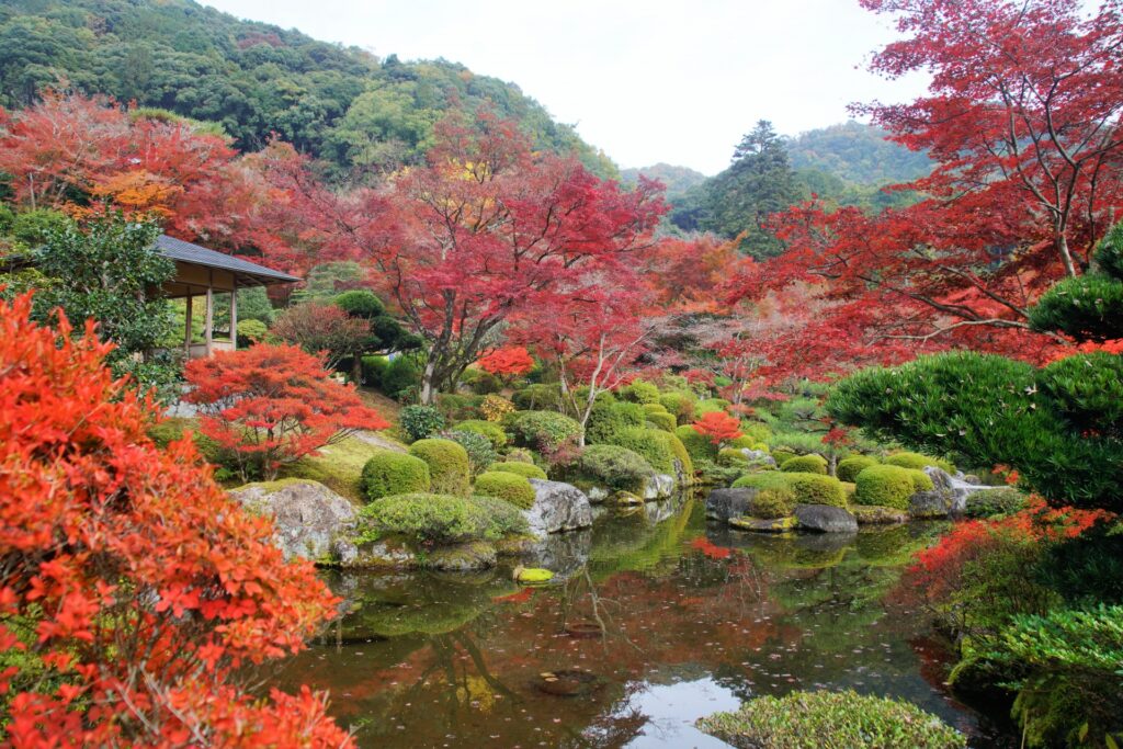 Magical Autumn Day Trips from Osaka & Kyoto: 5 Scenic Getaways for Fall Foliage Lovers 3 24347592 m