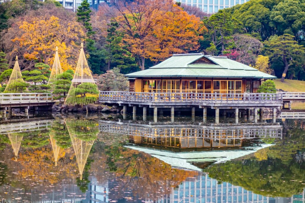 Autumn Lights in Japan 2025: Where to See the Best Fall Night Illuminations 5 2467025 m 1