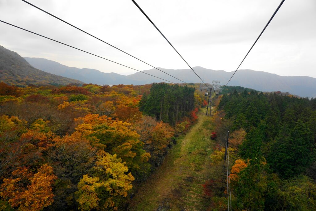 Experience Japan in November: 5 Breathtaking Autumn Scenery & Must-Visit Fall Destinations 6 26892625 m