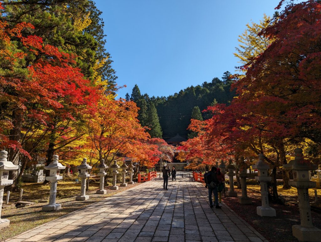 Magical Autumn Day Trips from Osaka & Kyoto: 5 Scenic Getaways for Fall Foliage Lovers 6 28203797 m
