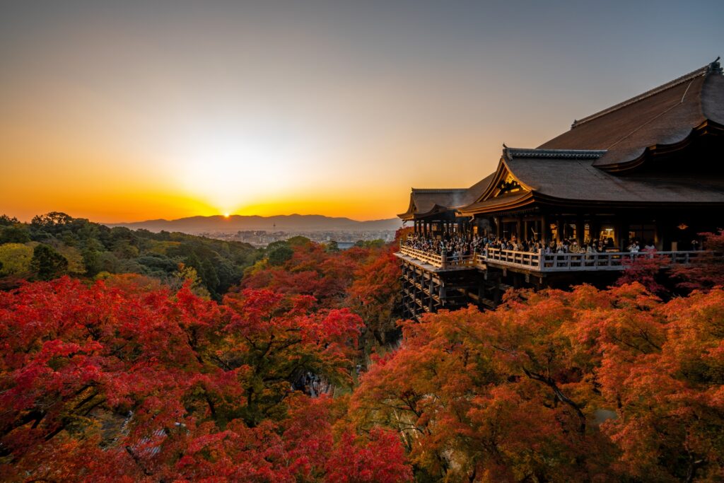 Experience Japan in November: 5 Breathtaking Autumn Scenery & Must-Visit Fall Destinations 7 28205412 m
