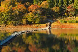 Autumn Towns near Tokyo