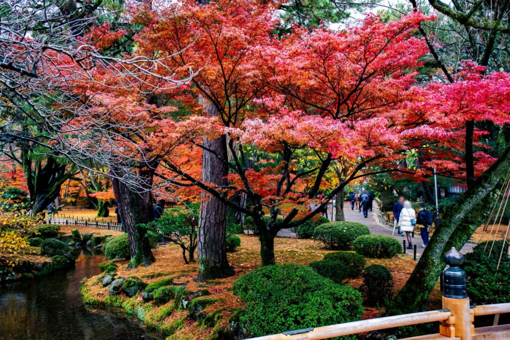Experience Japan in November: 5 Breathtaking Autumn Scenery & Must-Visit Fall Destinations 5 32153268 m 1