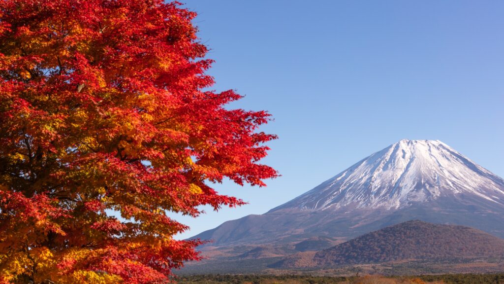 Experience Japan in November: 5 Breathtaking Autumn Scenery & Must-Visit Fall Destinations 4 3883766 m