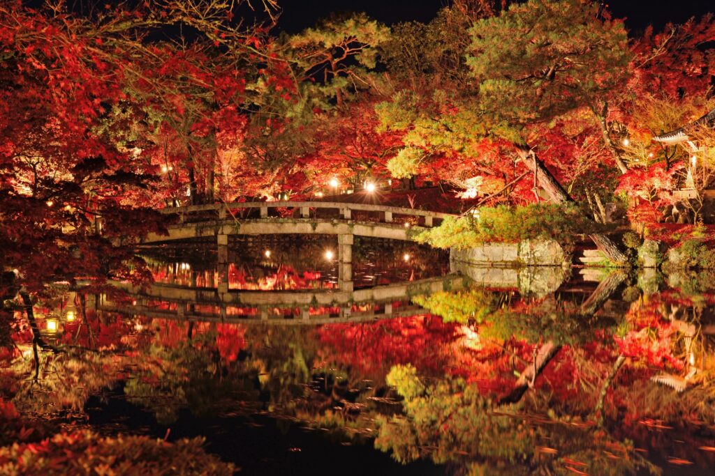 Autumn Lights in Japan 2025: Where to See the Best Fall Night Illuminations 3 4065225 m