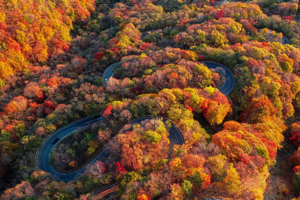 Scenic Autumn Road Trips in Japan 2025: 5 Breathtaking Drives for Fall Foliage Lovers 3 4137888 m