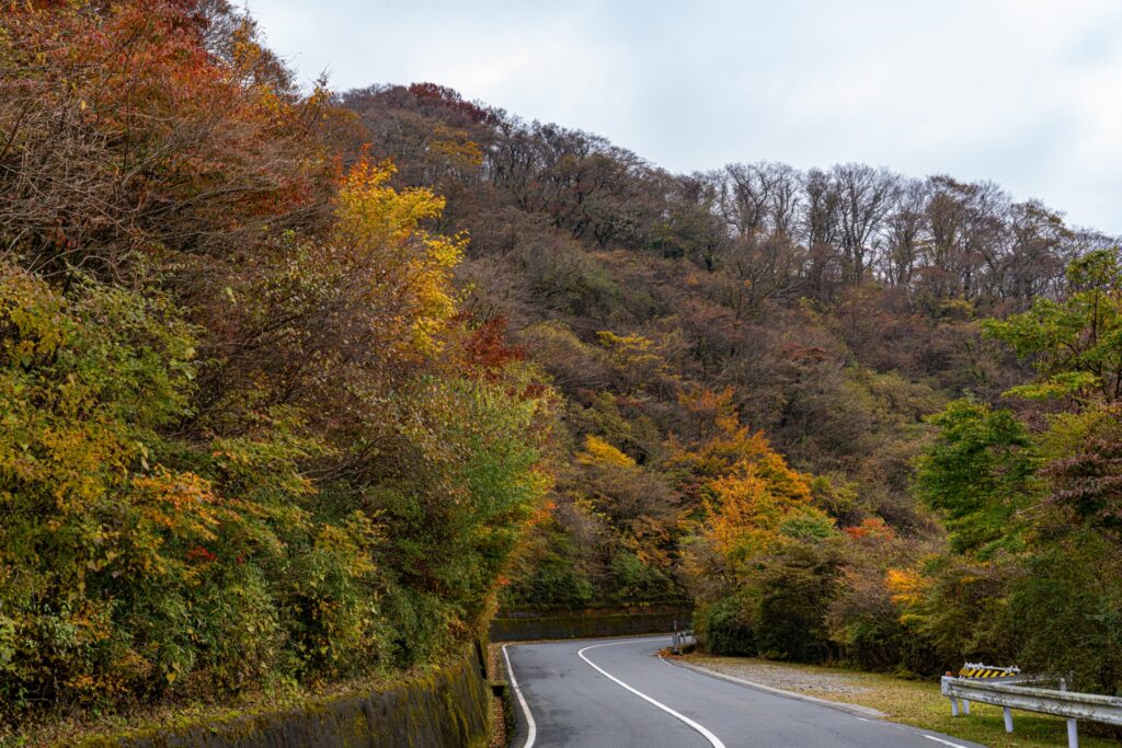 Scenic Autumn Road Trips in Japan 2025: 5 Breathtaking Drives for Fall Foliage Lovers 2 4170116 m