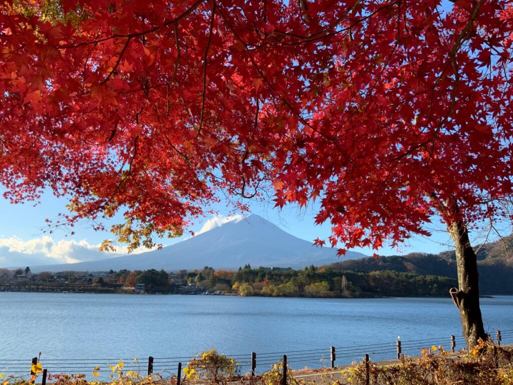 Scenic Autumn Road Trips in Japan 2025: 5 Breathtaking Drives for Fall Foliage Lovers 4 4301718 m