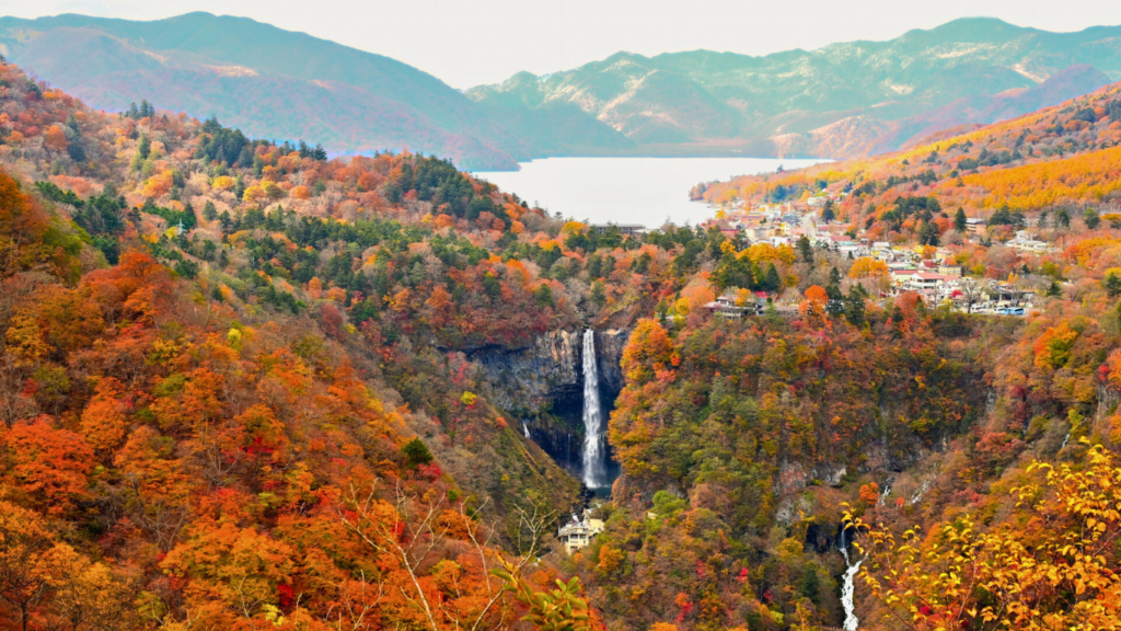 Scenic Autumn Road Trips in Japan 2025: 5 Breathtaking Drives for Fall Foliage Lovers 1 Autumn Road Trips in Japan