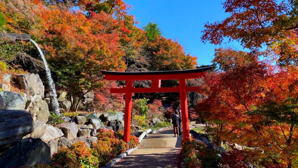 Nature Walks & Scenic Escapes: 5 Best Autumn Walks in Japan Near Tokyo, Kyoto & Osaka 1 Autumn walks in Japan
