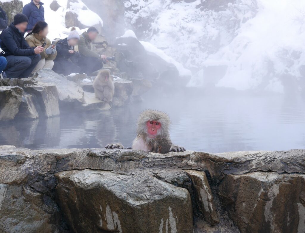 5 Breathtaking Places to See Early Snowfall in Japan This November 2 25930085 m