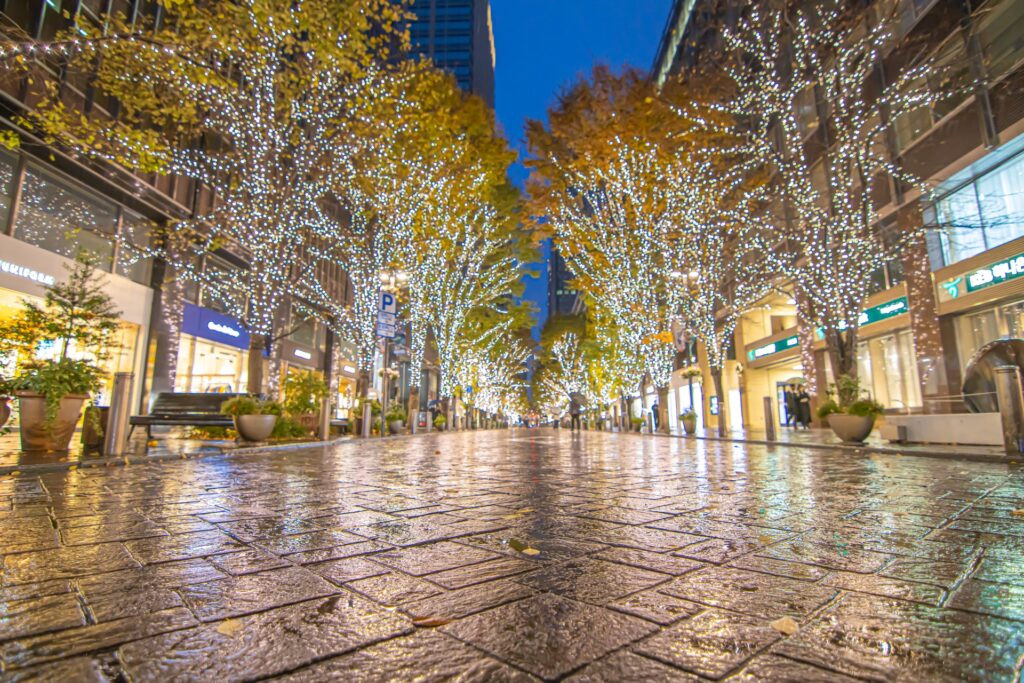 Tokyo in Early Winter – A Magical 10-Hour Tokyo December Itinerary with Christmas Lights 9 26436330 m