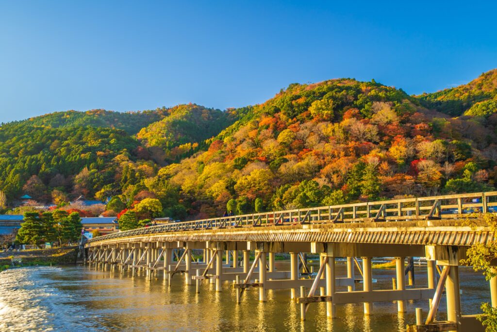 Nature Walks & Scenic Escapes: 5 Best Autumn Walks in Japan Near Tokyo, Kyoto & Osaka 2 27456393 m