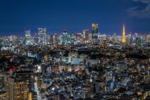 Tokyo in Early Winter