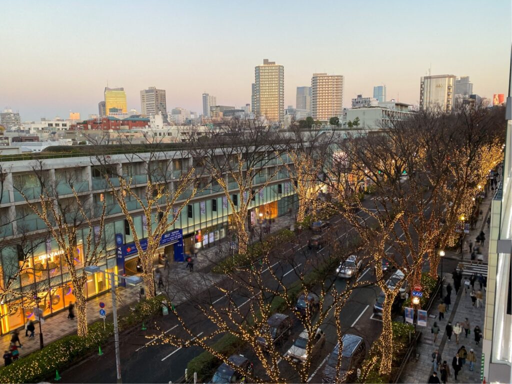 Tokyo in Early Winter – A Magical 10-Hour Tokyo December Itinerary with Christmas Lights 6 28097550 m