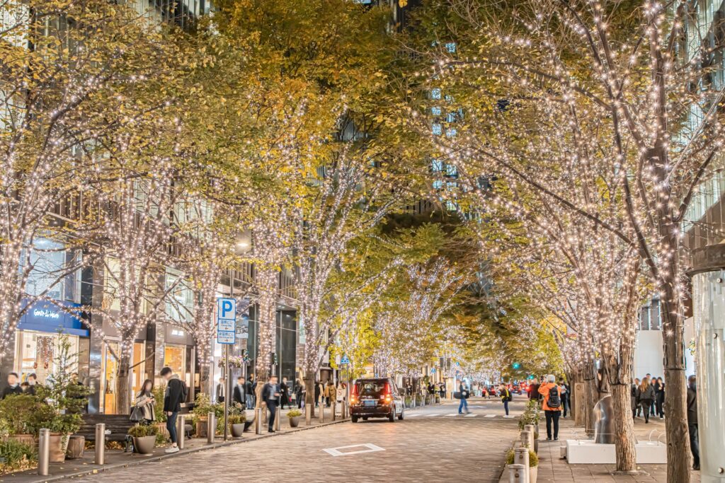 Tokyo in Early Winter – A Magical 10-Hour Tokyo December Itinerary with Christmas Lights 1 Tokyo in Early Winter