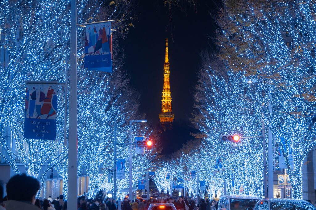 Tokyo in Early Winter – A Magical 10-Hour Tokyo December Itinerary with Christmas Lights 8 28590230 m