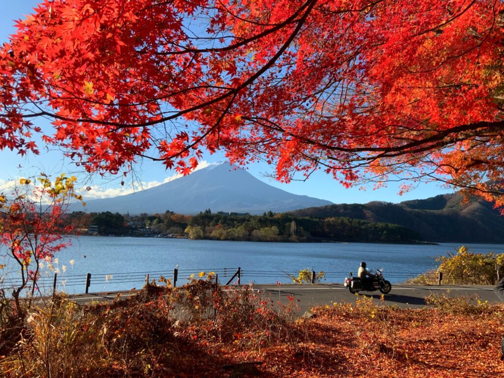 Nature Walks & Scenic Escapes: 5 Best Autumn Walks in Japan Near Tokyo, Kyoto & Osaka 6 4301717 m 1