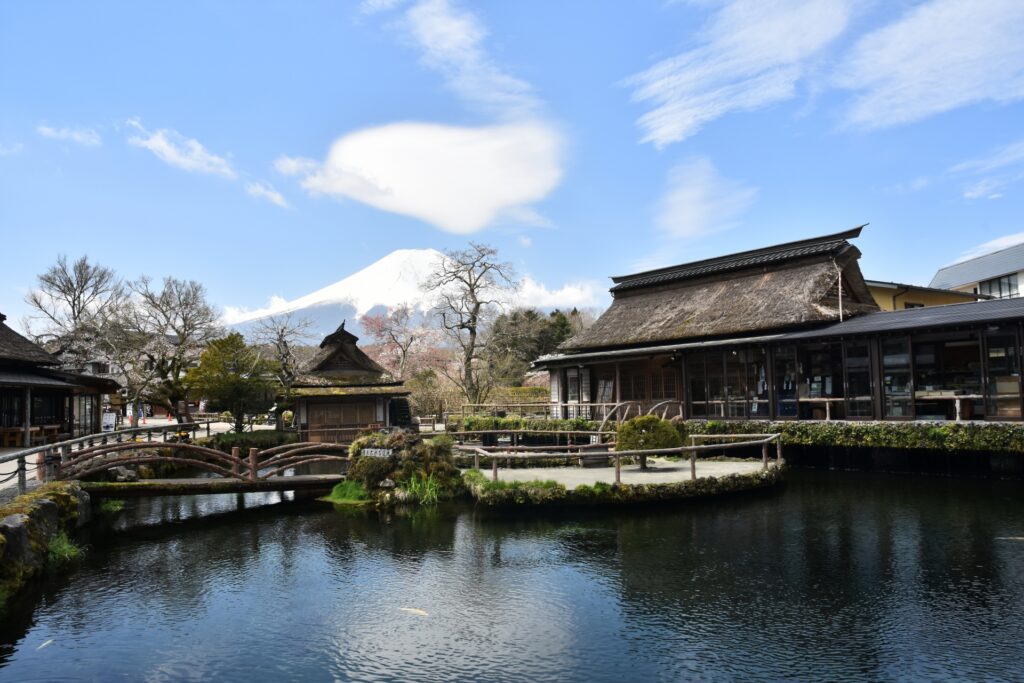 Private Day Tour in Japan