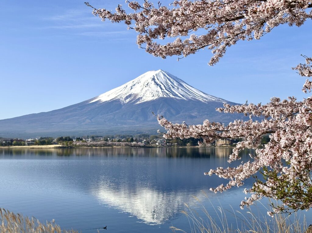 Best Cherry Blossom Day Trips from Tokyo: 4 Beautiful Sakura Escapes Near the City 2 32465938 m